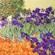 100% Silk Scarf, Large, Vincent van Gogh, Irises in the Garden