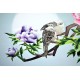 Grace Art, Large Asian Silk Embroidery Art Wall Hanging, Peony