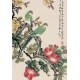 Grace Art Asian Wall Scroll, Set of 4, Four Seasons with Birds